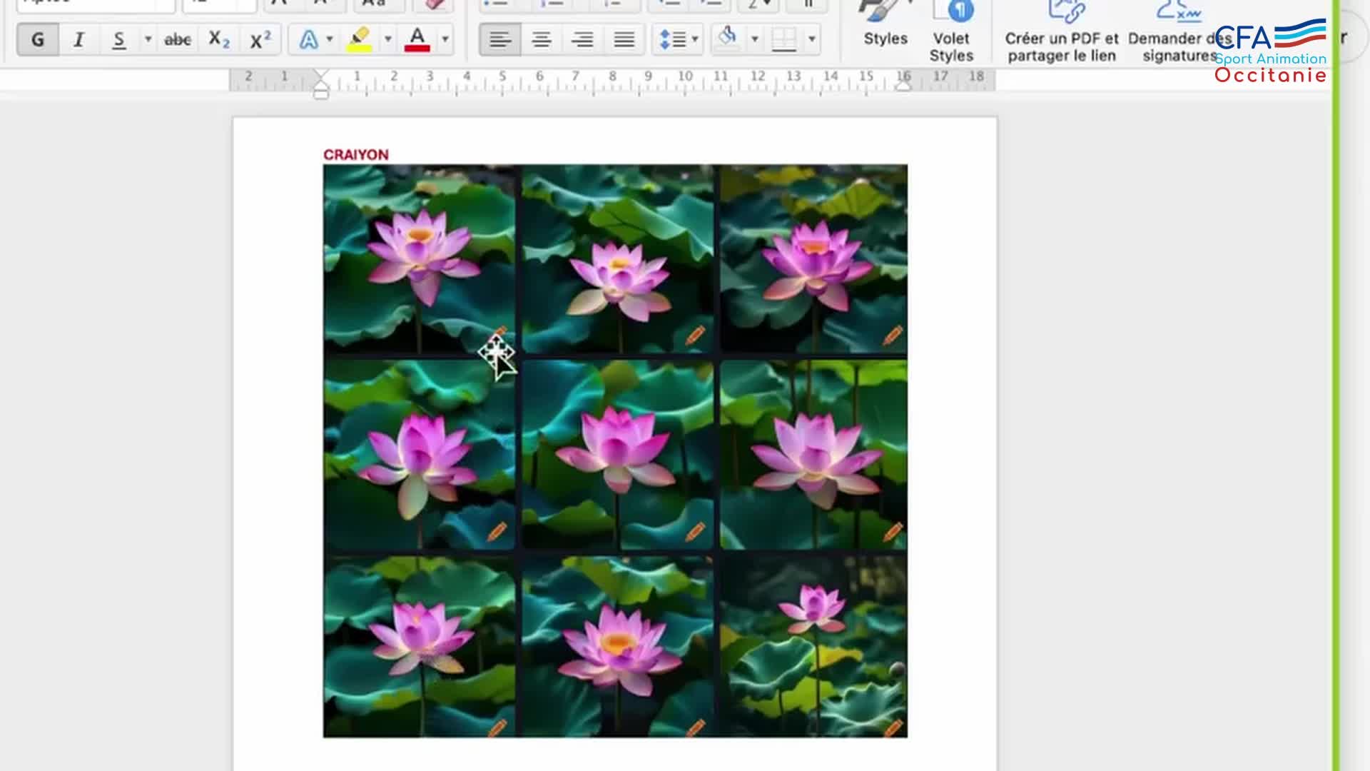 21- Creation d-image avec IA_CFA
