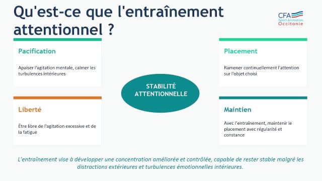 10- Metaconnaissances_AP_CFA