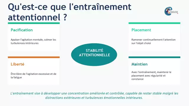 10- Metaconnaissances_AP_Cameleon